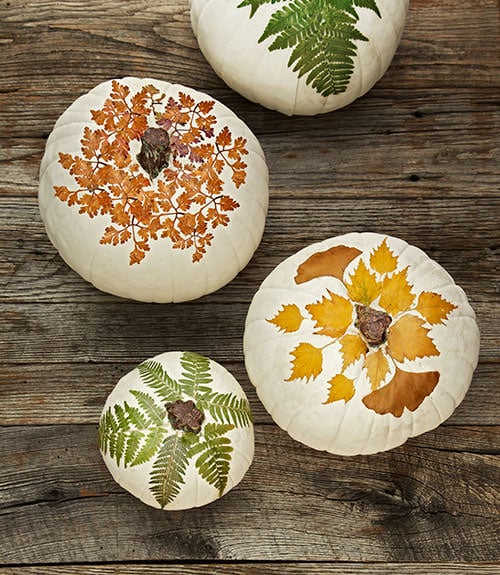 Mod Podge Pumpkins