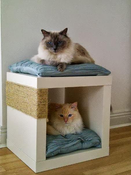 DIY cat post
