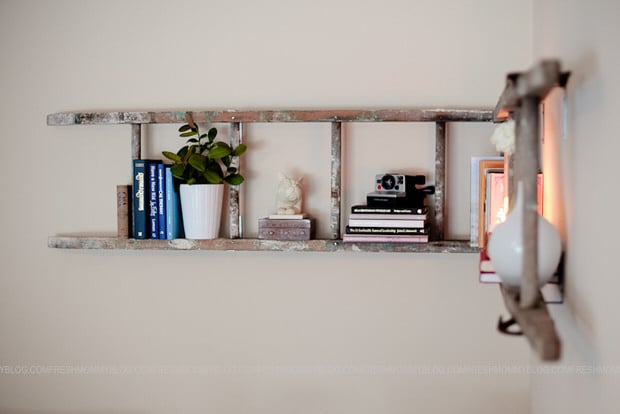 DIY ladder booshelf