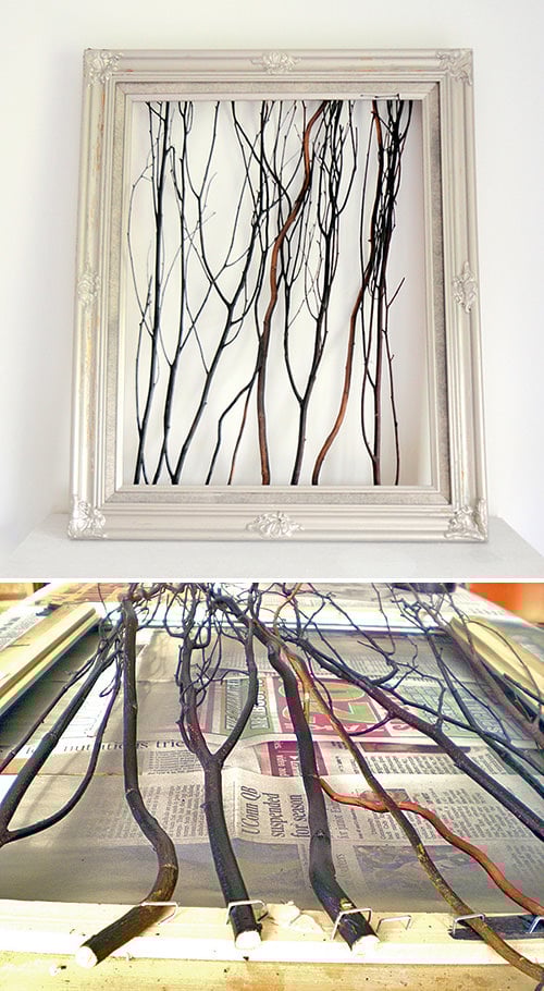 branches-49