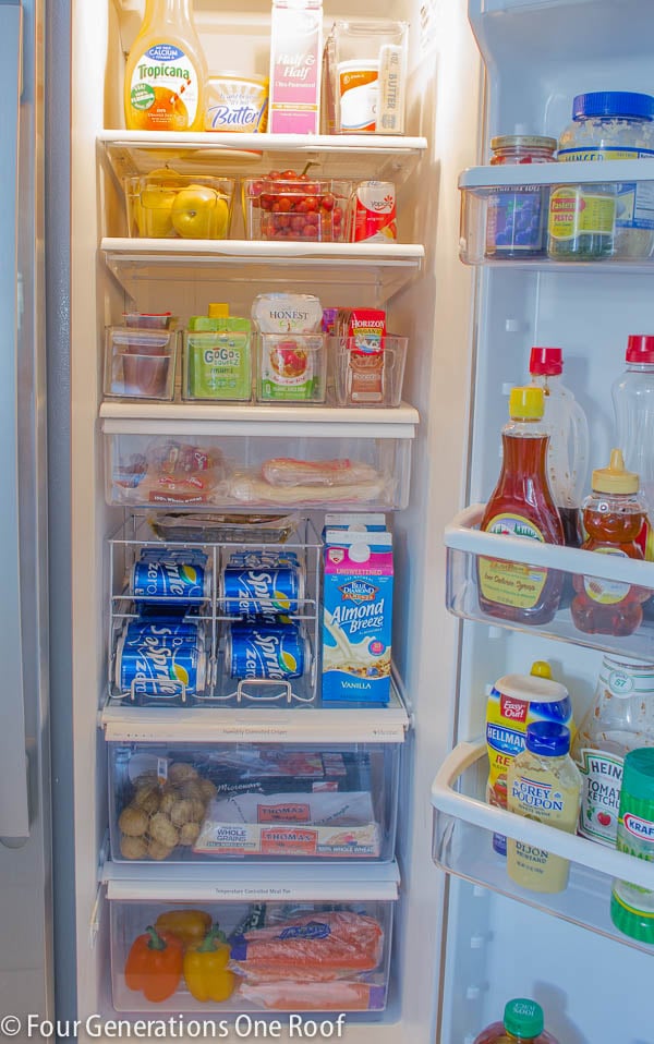 Refrigerator-organization-project-12