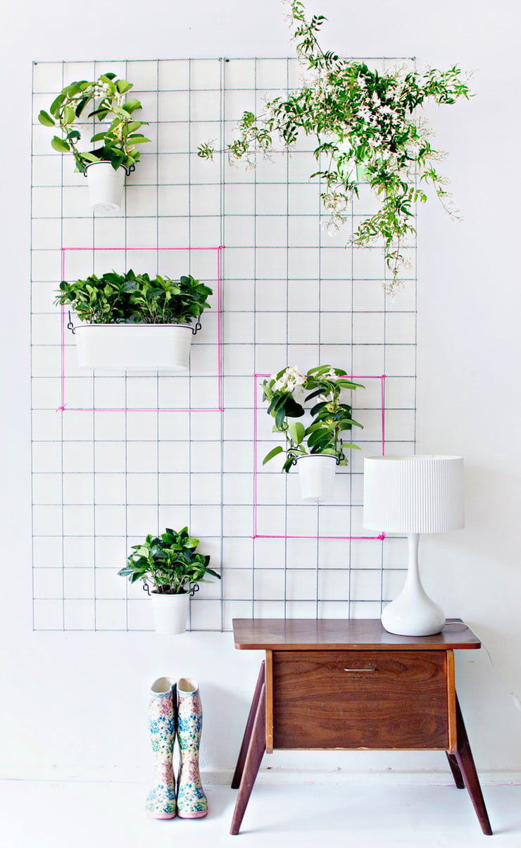 how to make an indoor wall garden