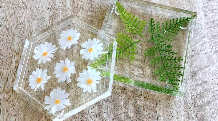 Clear epoxy resin DIY coaster inlaid with pressed white daisies and green fern leaves.