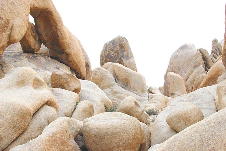 Best Hikes & Things To Do In Joshua Tree National Park