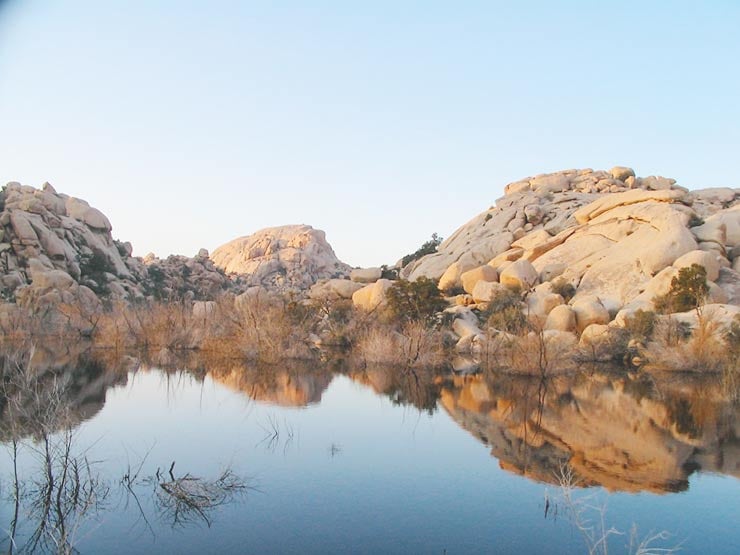 Best Hikes & Things To Do In Joshua Tree National Park