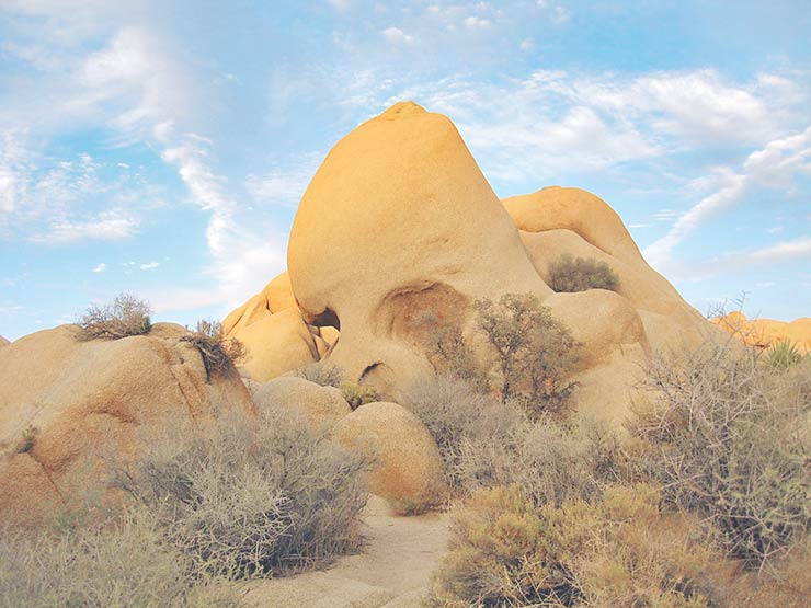 Best Hikes & Things To Do In Joshua Tree National Park