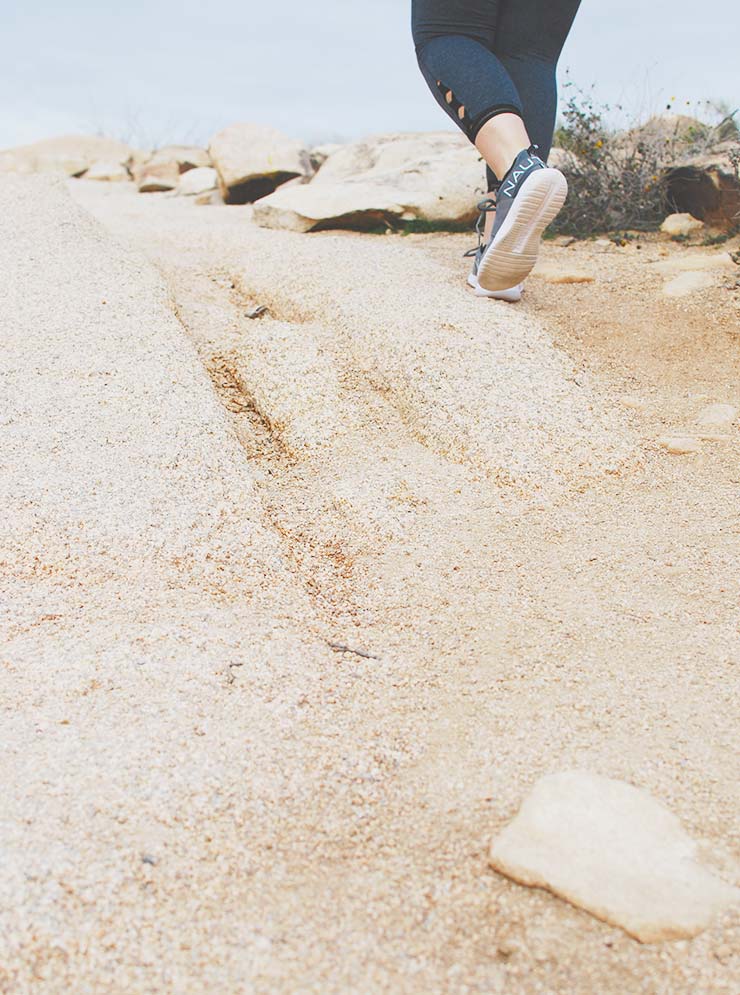Best Hikes & Things To Do In Joshua Tree National Park