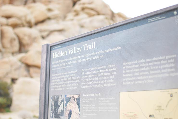 Best Hikes & Things To Do In Joshua Tree National Park