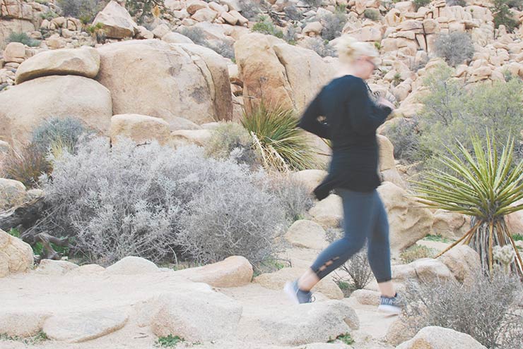Best Hikes & Things To Do In Joshua Tree National Park