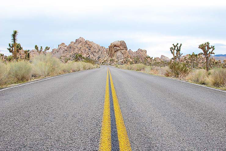 Best Hikes & Things To Do In Joshua Tree National Park