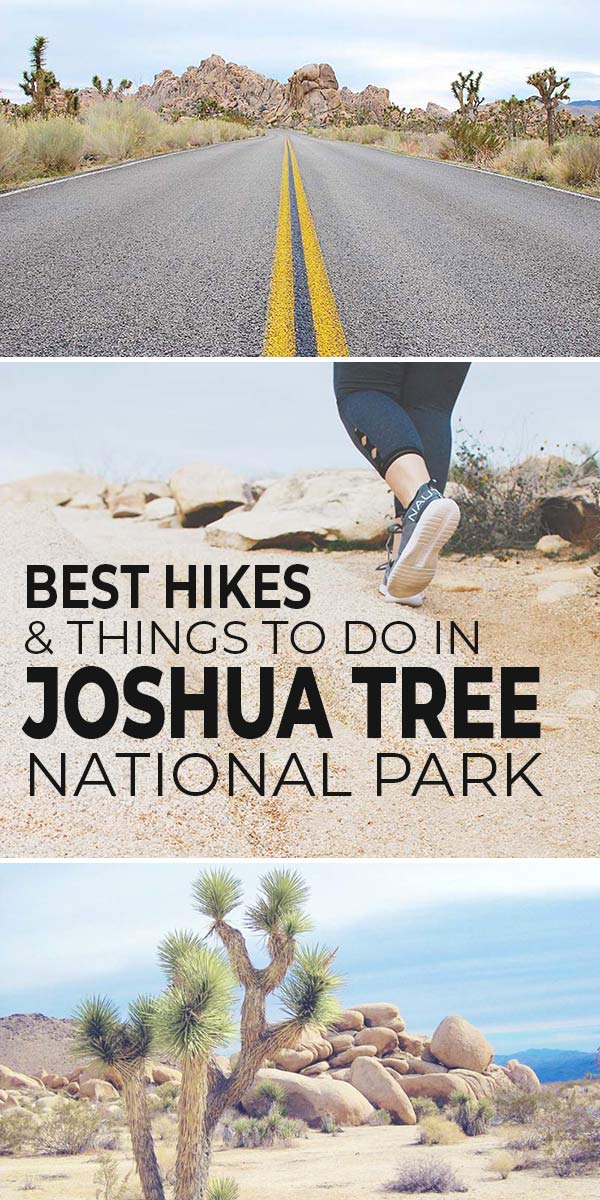 Best Hikes & Things To Do In Joshua Tree National Park