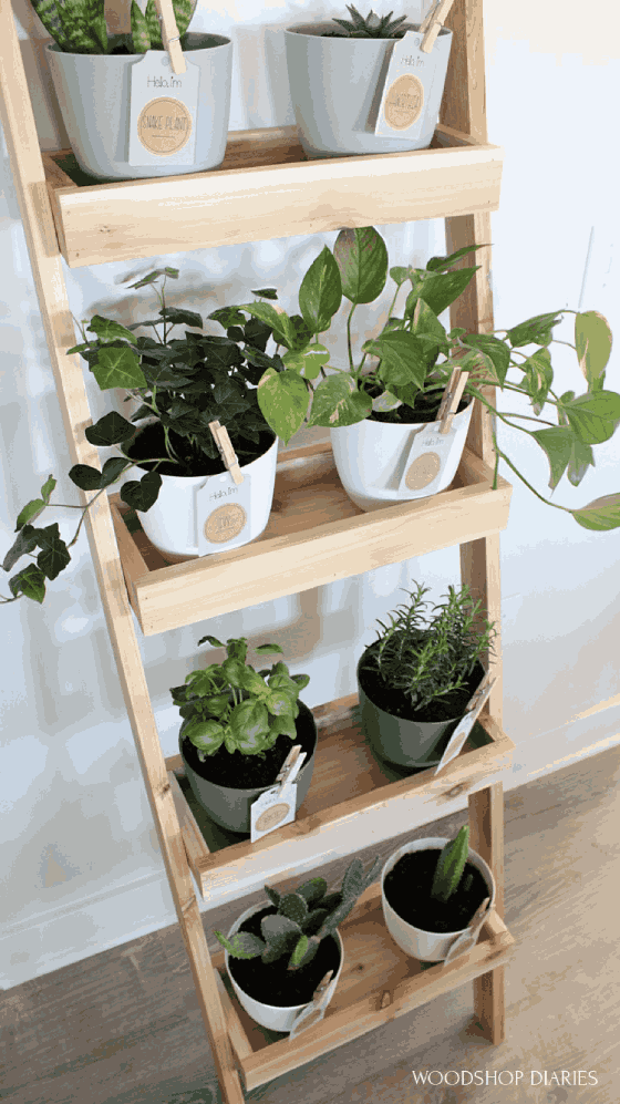 indoor garden ladder