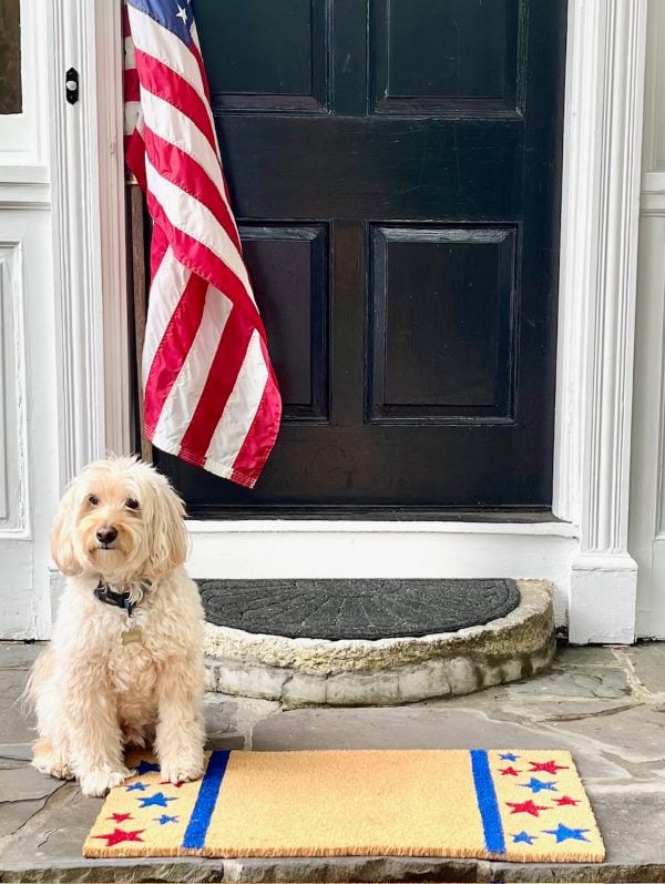 Porch view with welcome mat that has 4th of july themed starts painted on it, a dog sitting, and an American Flag