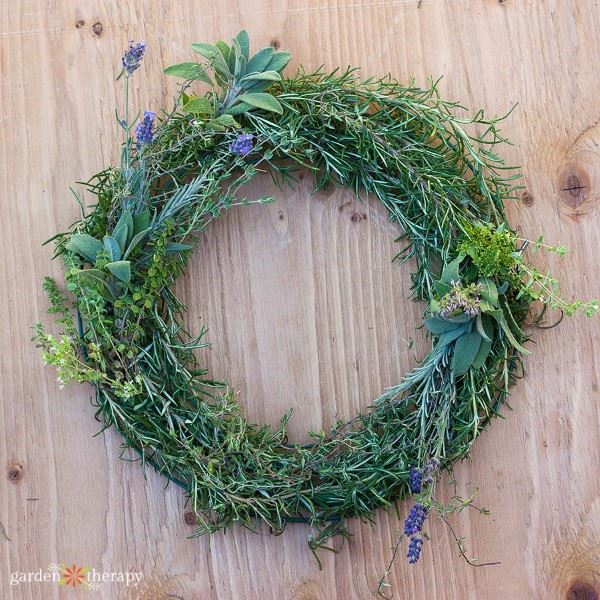 Fresh herb spring wreath made with rosemary, sage, and lavender on a wooden background